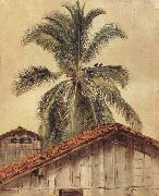 Frederic E.Church Palm Tres and Housetops,Ecuador oil on canvas